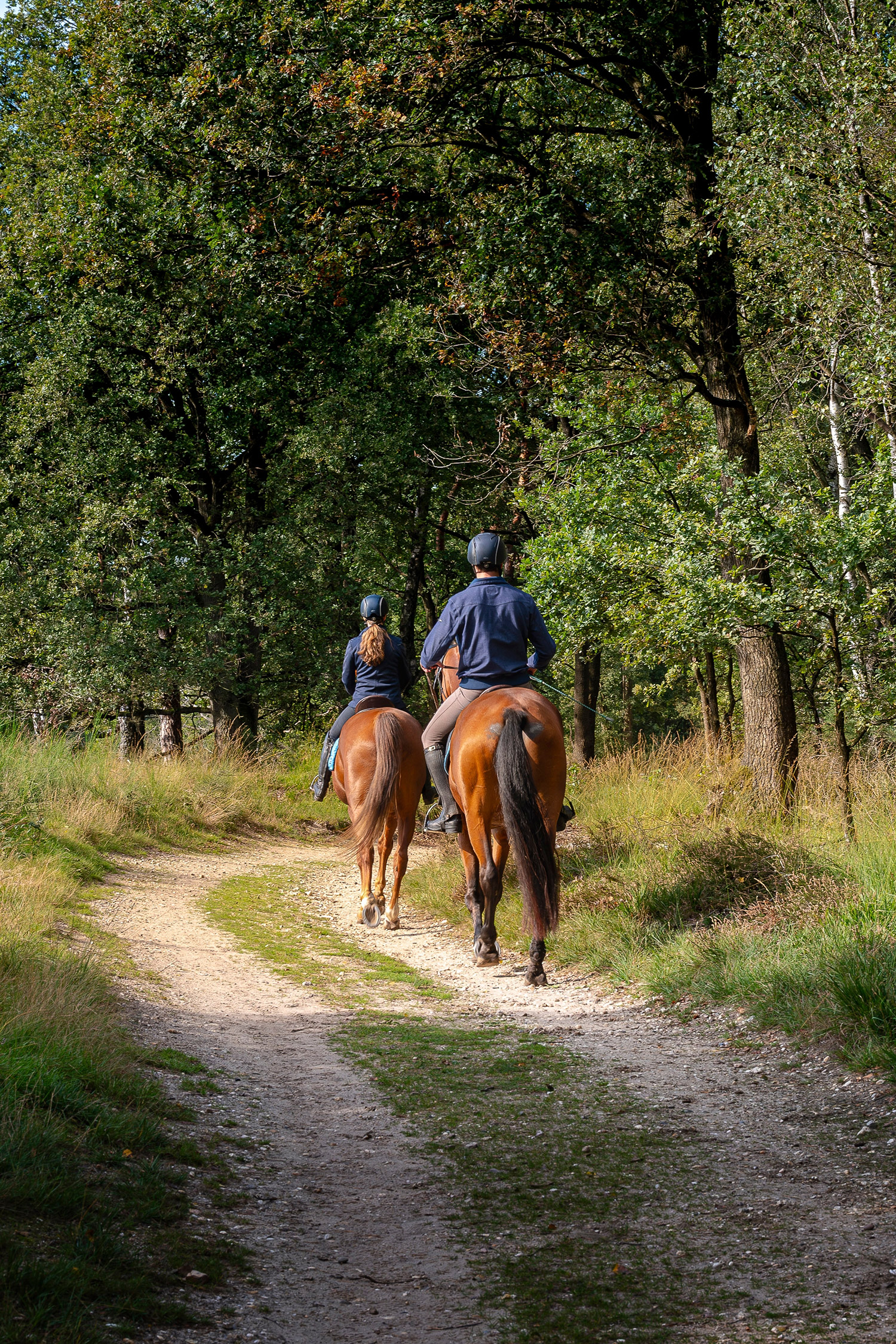 heritage style - Domaine Héritage-Nature